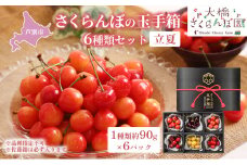 【先行受付】さくらんぼの玉手箱 6種類セット 立夏 ※品種指定不可 [№5342-0293]