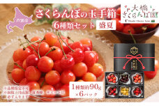 【先行受付】さくらんぼの玉手箱 6種類セット 盛夏 ※品種指定不可 [№5342-0294]