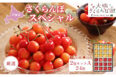 【先行受付】厳選さくらんぼスペシャル2色Ａ 24粒（赤・黄）南陽・月山錦 [№5342-0297]