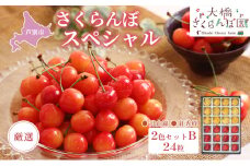 【先行受付】厳選さくらんぼスペシャル2色B 24粒（赤・黄）紅秀峰・月山錦 [№5342-0299]