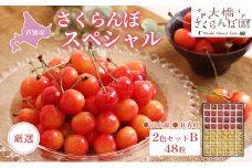 【先行受付】厳選さくらんぼスペシャル2色B 48粒（赤・黄）紅秀峰・月山錦 [№5342-0298]