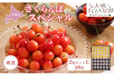 【先行受付】厳選さくらんぼスペシャル2色E 48粒（黄・黒）月山錦・サミット [№5342-0302]
