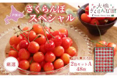 【先行受付】厳選さくらんぼスペシャル2色C 48粒（赤・赤）南陽・紅秀峰 [№5342-0304]