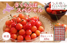 【先行受付】厳選さくらんぼスペシャル2色C 48粒（赤・赤）南陽・紅秀峰 [№5342-0304]