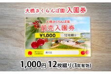 大橋さくらんぼ園【入園券 1000円 12枚綴り（3年有効）】 [№5342-0307]