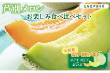 【大容量！北海道 芦別メロン】赤3玉×青2玉 メロン 全5玉セット 各1.5kg  大玉 計5玉 北海道 芦別市 果物 メロン 甘い ジューシー フルーツ ギフト お中元  [№5342-0277]