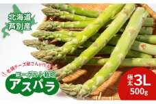 【2025年発送】アスパラ 横市ヨーグルト栽培  500g 3L 横市フロマージュ舎 野菜 アスパラガス グリーンアスパラ 旬 とれたて お取り寄せ 産地直送 小分け 保存 芦別市 北海道 送料無料 [№5342-0314]