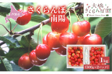【先行受付】さくらんぼ 南陽1kg（500g×2パック）高級 サクランボ 北海道 芦別産 赤 3L [№5342-0281]