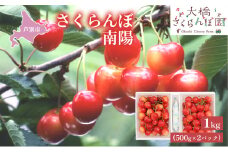 【先行受付】さくらんぼ 南陽1kg（500g×2パック）高級 サクランボ 北海道 芦別産 赤 3L [№5342-0281]
