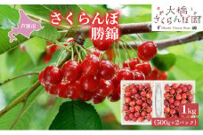 【先行受付】さくらんぼ 勝錦1kg（500g×2パック）サクランボ 赤 大橋 オリジナル 希少 [№5342-0284]