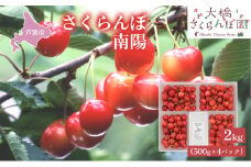 【先行受付】さくらんぼ 赤 南陽2kg（500g×4パック）高級 なんよう サクランボ 芦別産 赤 [№5342-0288]