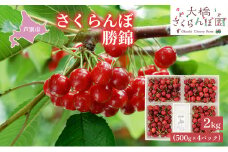 【先行受付】さくらんぼ 赤 勝錦2kg（500g×4パック）サクランボ 赤 大橋 ほまれにしき 希少 大容量 [№5342-0289]