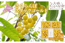 【先行受付】スタックゴールド黄 2kg（500g×4パック）サクランボ 黄 大橋 芦別 希少 大容量 [№5342-0292]