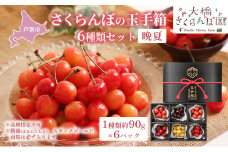 【先行受付】さくらんぼの玉手箱 6種類セット 晩夏 ※品種指定不可 [№5342-0295]