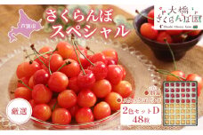 【先行受付】厳選さくらんぼスペシャル2色D 48粒（赤・黄）勝錦・スタックゴールド [№5342-0300]
