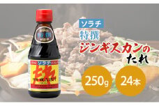 【大量 24本】 ソラチ 特撰ジンギスカンのたれ 250g 24本 たれ タレ 成吉思汗 ジンギスカン まとめ買い 大量 [№5342-0326]