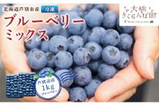 ブルーベリー ミックス 500g×2パック 計1kg 冷凍 果物 くだもの フルーツ 旬の果物 旬のフルーツ ミックスブルーベリー 大粒 小粒 小分け 保存 北海道 芦別市 [№5342-0504]
