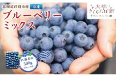ブルーベリー ミックス 500g 冷凍 果物 くだもの フルーツ 旬の果物 旬のフルーツ ミックスブルーベリー 大粒 小粒 保存 北海道 芦別市 [№5342-0503]