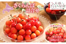 さくらんぼ 500g ×2 パック 赤ミックス 大橋さくらんぼ園 サクランボ チェリー 果物 果物類 フルーツ デザート 完熟 新鮮 美味しい 人気 北海道 芦別市 [№5342-0712]