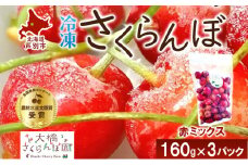 冷凍 さくらんぼ 160g × 3パック 赤ミックス 大橋さくらんぼ園 サクランボ チェリー 果物 果物類 フルーツ デザート 完熟 急速冷凍 新鮮 美味しい 人気 冷凍配送 北海道 芦別市 [№5342-0714]