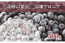 冷凍アロニア 500g 冷凍 アロニア 果物 くだもの フルーツ 旬の果物 旬のフルーツ 大橋さくらんぼ園 果物類 フルーツ デザート 完熟 急速冷凍 新鮮 美味しい 人気 冷凍配送 北海道 芦別市[№5342-0759]