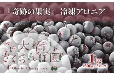 冷凍アロニア 500g × 2パック 1kg 冷凍 アロニア 果物 くだもの フルーツ 旬の果物 旬のフルーツ 大橋さくらんぼ園 果物類 フルーツ デザート 完熟 急速冷凍 新鮮 美味しい 人気 冷凍配送 北海道 芦別市[№5342-0760]