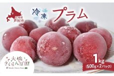 冷凍プラム 500g × 2パック 1kg 冷凍 プラム 果物 くだもの フルーツ 旬の果物 旬のフルーツ 大橋さくらんぼ園 果物類 フルーツ デザート 完熟 急速冷凍 新鮮 美味しい 人気 冷凍配送 北海道 芦別市[№5342-0762]