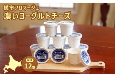 冷凍ヨーグルトチーズ 12個 横市フロマージュ 冷凍 ヨーグルトチーズ ヨーグルト チーズ 乳製品 濃厚 北海道 芦別市[№5342-0786]