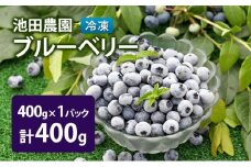 冷凍 ブルーベリー 400g (400g×1パック) 北海道産 フルーツ 果物 旬のフルーツ 旬の果物 くだもの 北海道 芦別市 [№5342-0794]