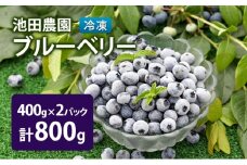 冷凍 ブルーベリー 800g (400g×2パック) 北海道産 フルーツ 果物 旬のフルーツ 旬の果物 くだもの 北海道 芦別市 [№5342-0796]