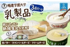 酪農学園大学　乳製品3点セット（バター・カマンベールチーズ・クリームチーズ）【チーズ バター 詰め合わせ 缶 北海道 】