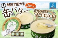 酪農学園大学　缶バター3個セット