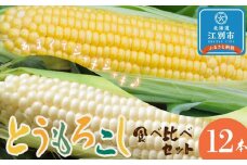 江別産　『春夏秋菜』とうもろこし白・黄色食べ比べセット/2025年8月上旬より順次発送