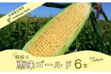 北海道江別産 Ambitious Farm とうもろこし　恵味ゴールド　(6本）2025年8月より発送開始