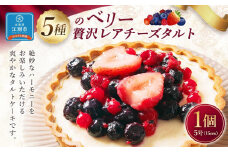 5種のベリー贅沢レアチーズタルト 5号サイズ 1個 タルトケーキ