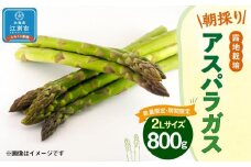 【先行予約/2026年4月下旬より発送開始】BO001＜数量限定・期間限定＞グリーンアスパラガス(2Lサイズ) 800g 朝採り 露地栽培