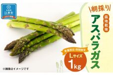 【先行予約/2026年4月下旬より発送開始】BO002＜数量限定・期間限定＞グリーンアスパラガス(Lサイズ) 1kg 露地栽培 朝採り