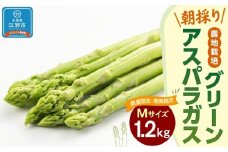 【先行予約/2026年4月下旬より発送開始】BO003＜数量限定・期間限定＞グリーンアスパラガス(Mサイズ) 1.2kg 露地栽培 朝採り