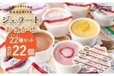 【合計　22個】ジェラートおまかせ　22種セット
