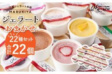 【合計　22個】ジェラートおまかせ　22種セット