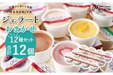 【合計　12個】ジェラートおまかせ　12個セット