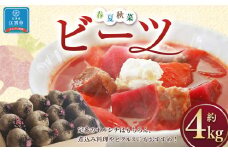 「春夏秋菜」ビーツ4kg　【2025年8月より順次発送】