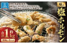 極み塩ホルモン 1kg(200g×5袋)