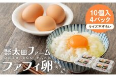 ファフィ卵10個入4パック（サイズ不ぞろい）