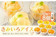 きみいろアイス　60g×8個