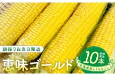 北海道産とうもろこし（恵味ゴールド10本）