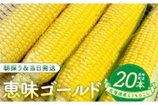 北海道産とうもろこし（恵味ゴールド20本）