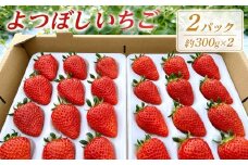 よつぼしいちご　約600g（約300g×2パック）