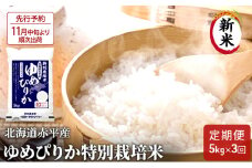 【先行予約2025年産米・11月中旬より順次出荷】北海道赤平産 ゆめぴりか 5kg 特別栽培米 【3回お届け】 精米 米 北海道 定期便 ふるさと納税 