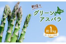 アスパラ 北海道 朝採り 春グリーンアスパラ 約1kg［ほりぐち農園］ ※2025年4月中旬出荷開始先行予約 野菜 アスパラガス グリーンアスパラ 旬 とれたて お取り寄せ 産地直送 生産者直送 